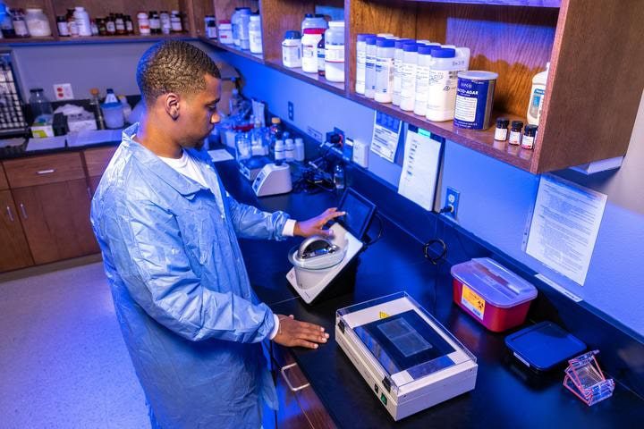 Black male student working in a biology lab