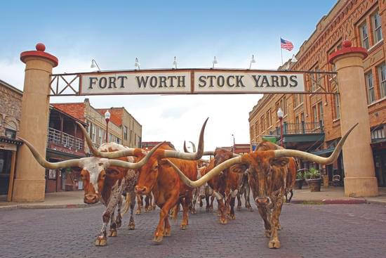 stockyards