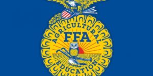 FFA Contest