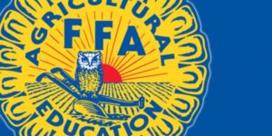 Area FFA Contests