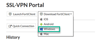 SSL VPN Portal Step 4